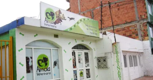 VETERINARIA AIMOLA VETERINARIA AIMOLA